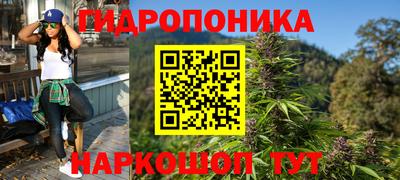 Альфа ПВП Ивантеевка