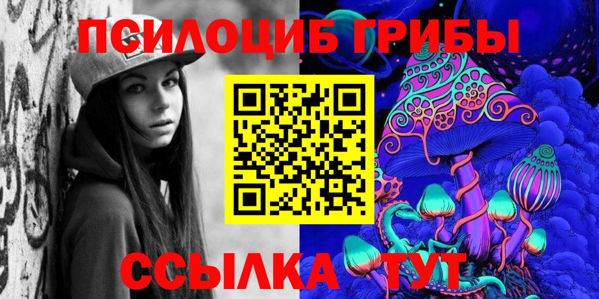 Псилоцибиновые грибы Psilocybine cubensis Лабытнанги